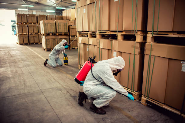 Best Pest Control Treatment  in Maple Valley, WA