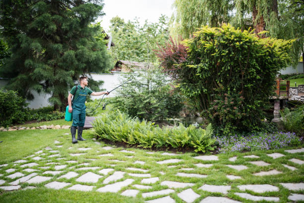 Best Rat Extermination Near Me  in Maple Valley, WA
