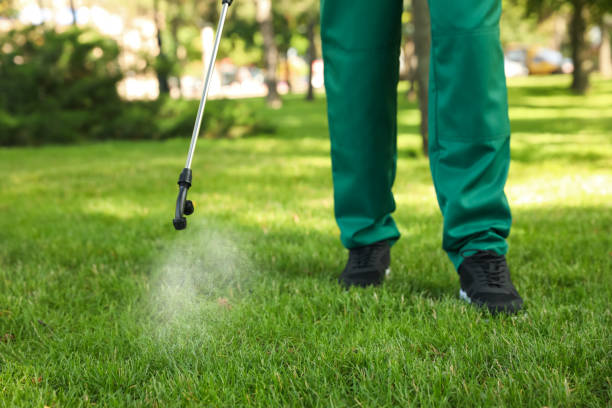 Best Wasp Removal Services  in Maple Valley, WA