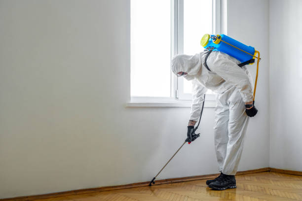 Best Cockroach Control Services  in Maple Valley, WA