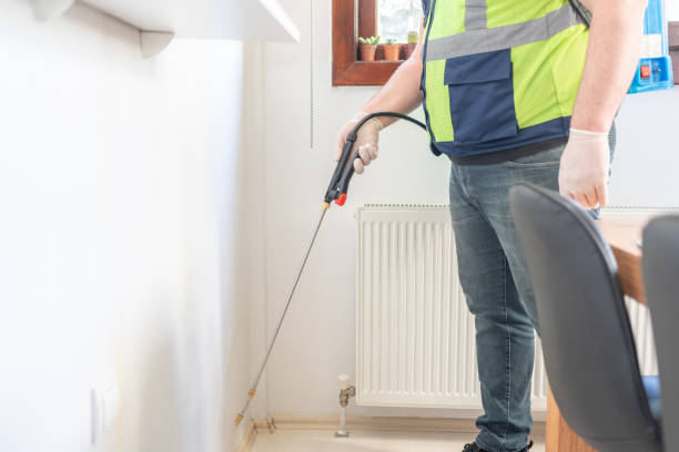 Best Flea Control Services  in Maple Valley, WA
