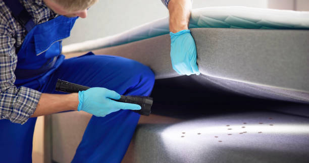 Best Emergency Pest Control  in Maple Valley, WA